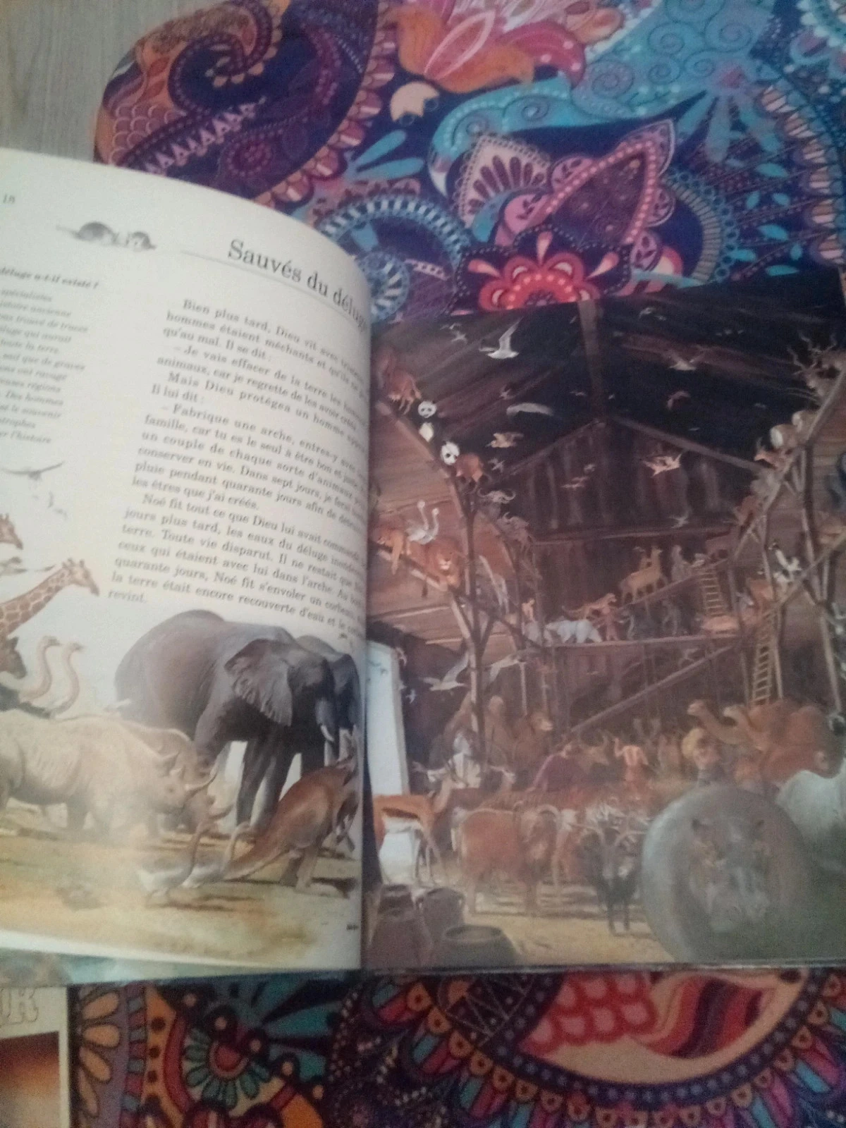 La bible les grands récits de l'ancien et du nouveau testament – photo 6